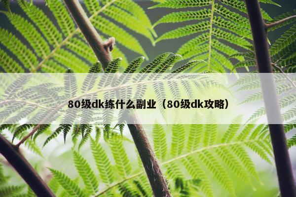 80级dk练什么副业（80级dk攻略）