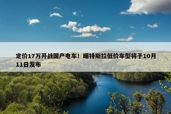 定价17万开战国产电车！曝特斯拉低价车型将于10月11日发布