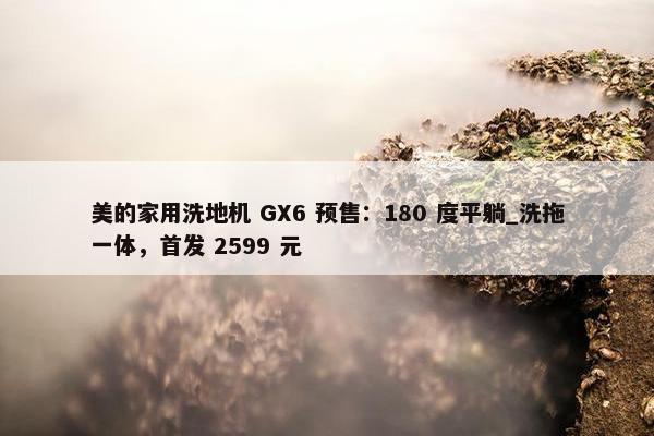 美的家用洗地机 GX6 预售：180 度平躺_洗拖一体，首发 2599 元