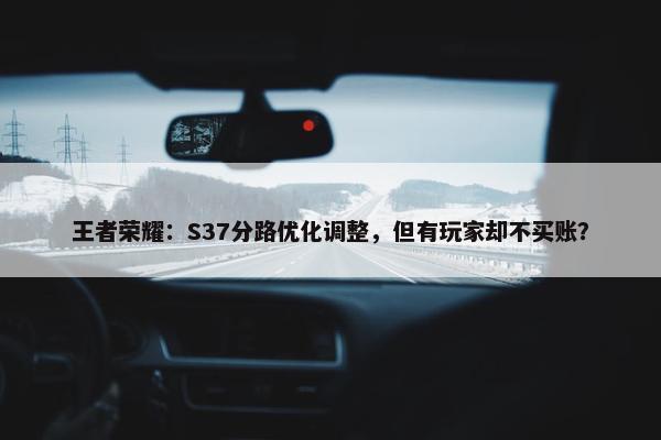 王者荣耀：S37分路优化调整，但有玩家却不买账？