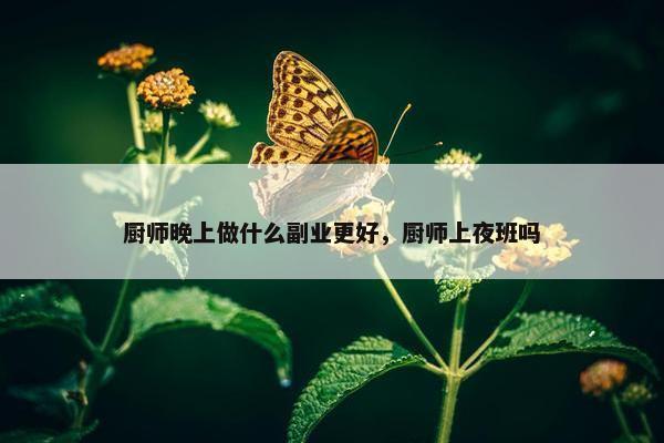 厨师晚上做什么副业更好，厨师上夜班吗