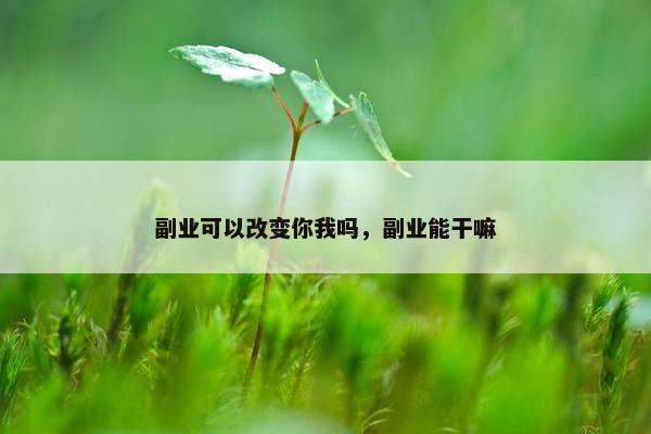 副业可以改变你我吗，副业能干嘛