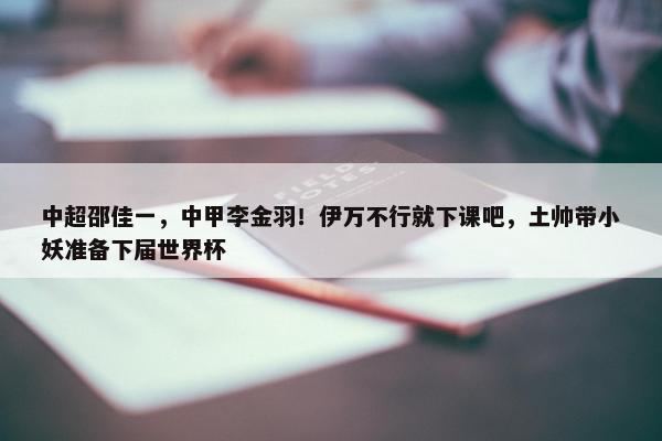 中超邵佳一，中甲李金羽！伊万不行就下课吧，土帅带小妖准备下届世界杯