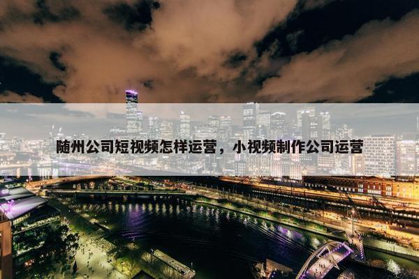 随州公司短视频怎样运营，小视频制作公司运营