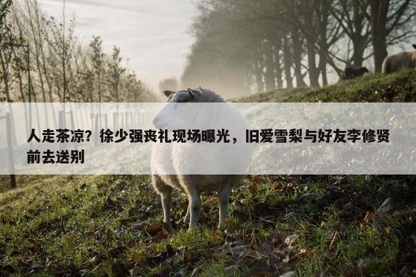 人走茶凉？徐少强丧礼现场曝光，旧爱雪梨与好友李修贤前去送别