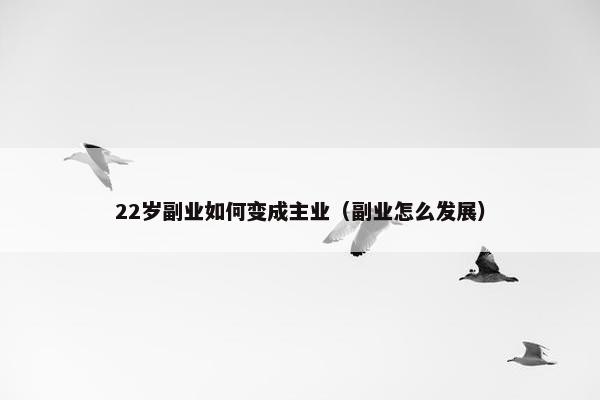 22岁副业如何变成主业（副业怎么发展）