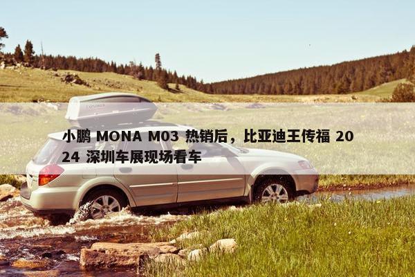 小鹏 MONA M03 热销后，比亚迪王传福 2024 深圳车展现场看车