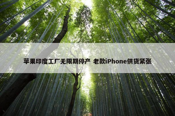 苹果印度工厂无限期停产 老款iPhone供货紧张