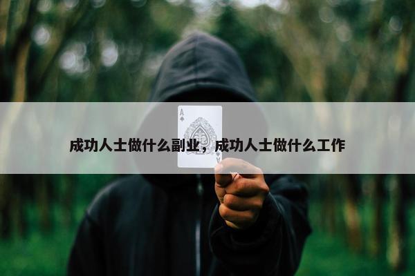 成功人士做什么副业，成功人士做什么工作