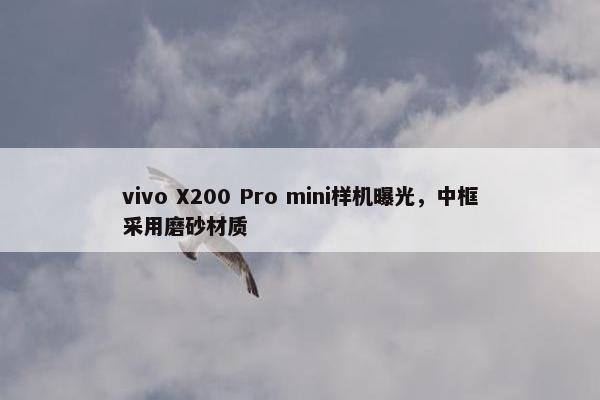 vivo X200 Pro mini样机曝光，中框采用磨砂材质