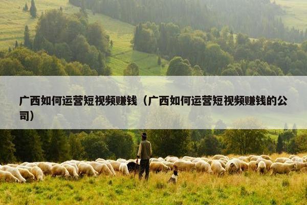 广西如何运营短视频赚钱（广西如何运营短视频赚钱的公司）