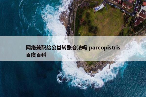 网络兼职给公益转账合法吗 parcopistris百度百科