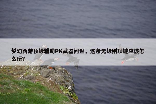 梦幻西游顶级辅助PK武器问世，这条无级别项链应该怎么玩？