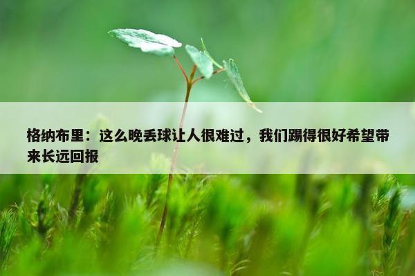 格纳布里：这么晚丢球让人很难过，我们踢得很好希望带来长远回报