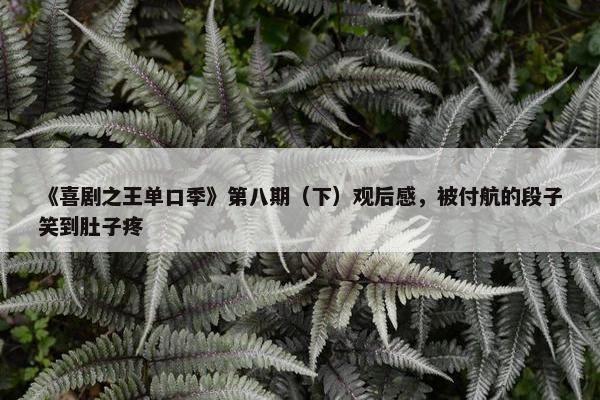 《喜剧之王单口季》第八期（下）观后感，被付航的段子笑到肚子疼